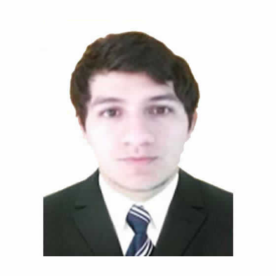 LUIS RICARDO MARCELO GOMEZ