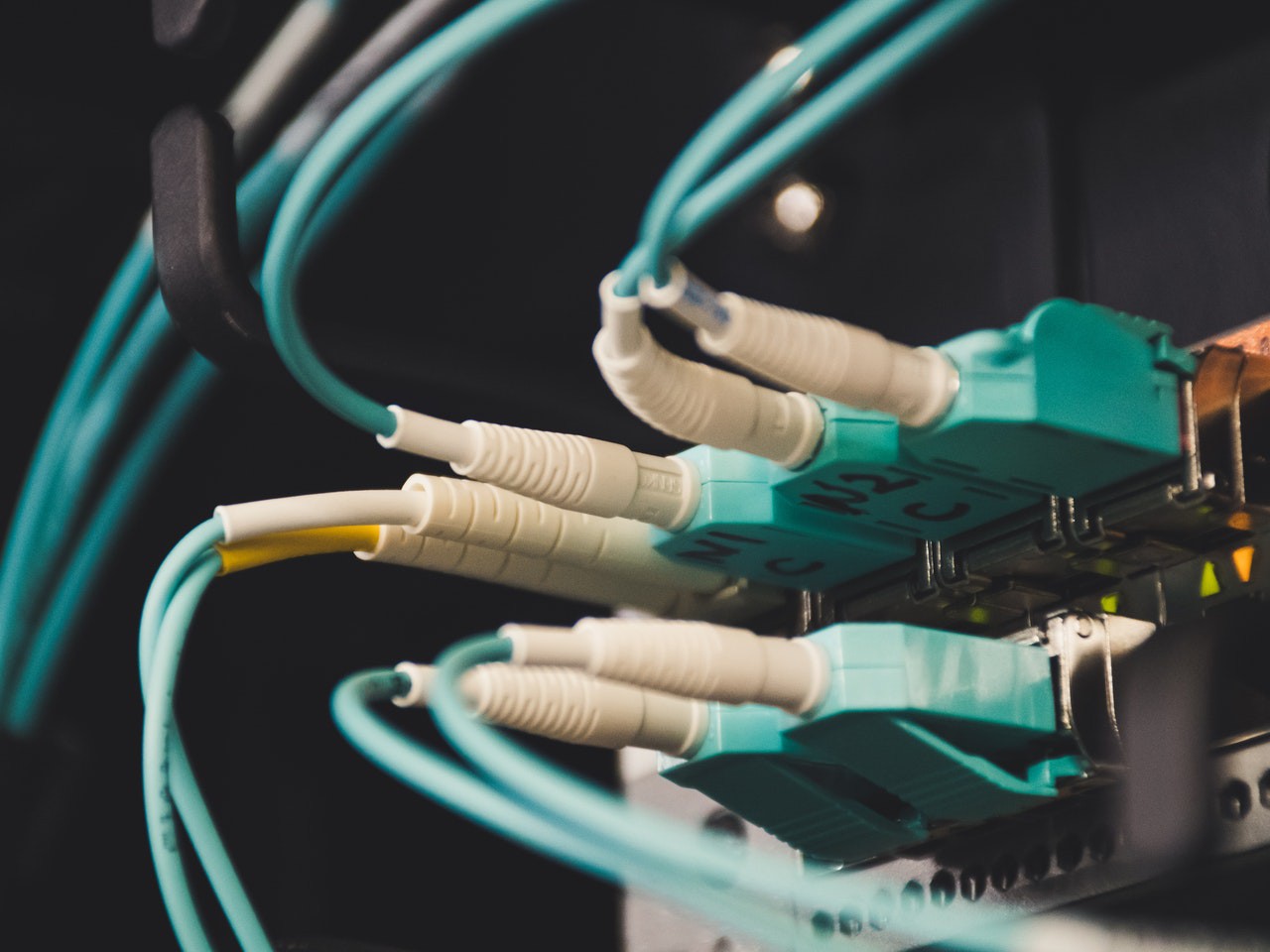 Cables de conexión Cables de conexión verde y blanco