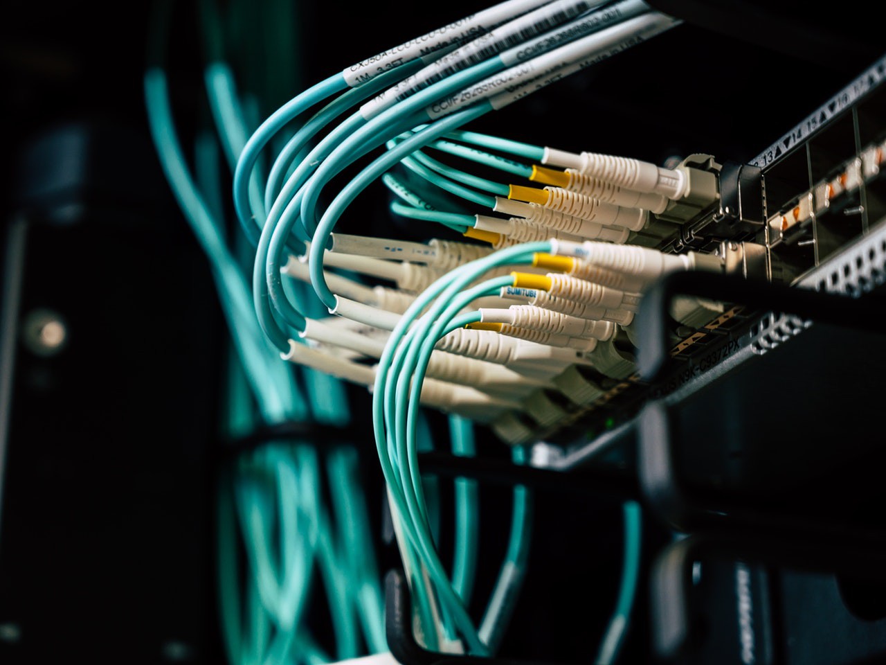 Cables de red verde y blanco