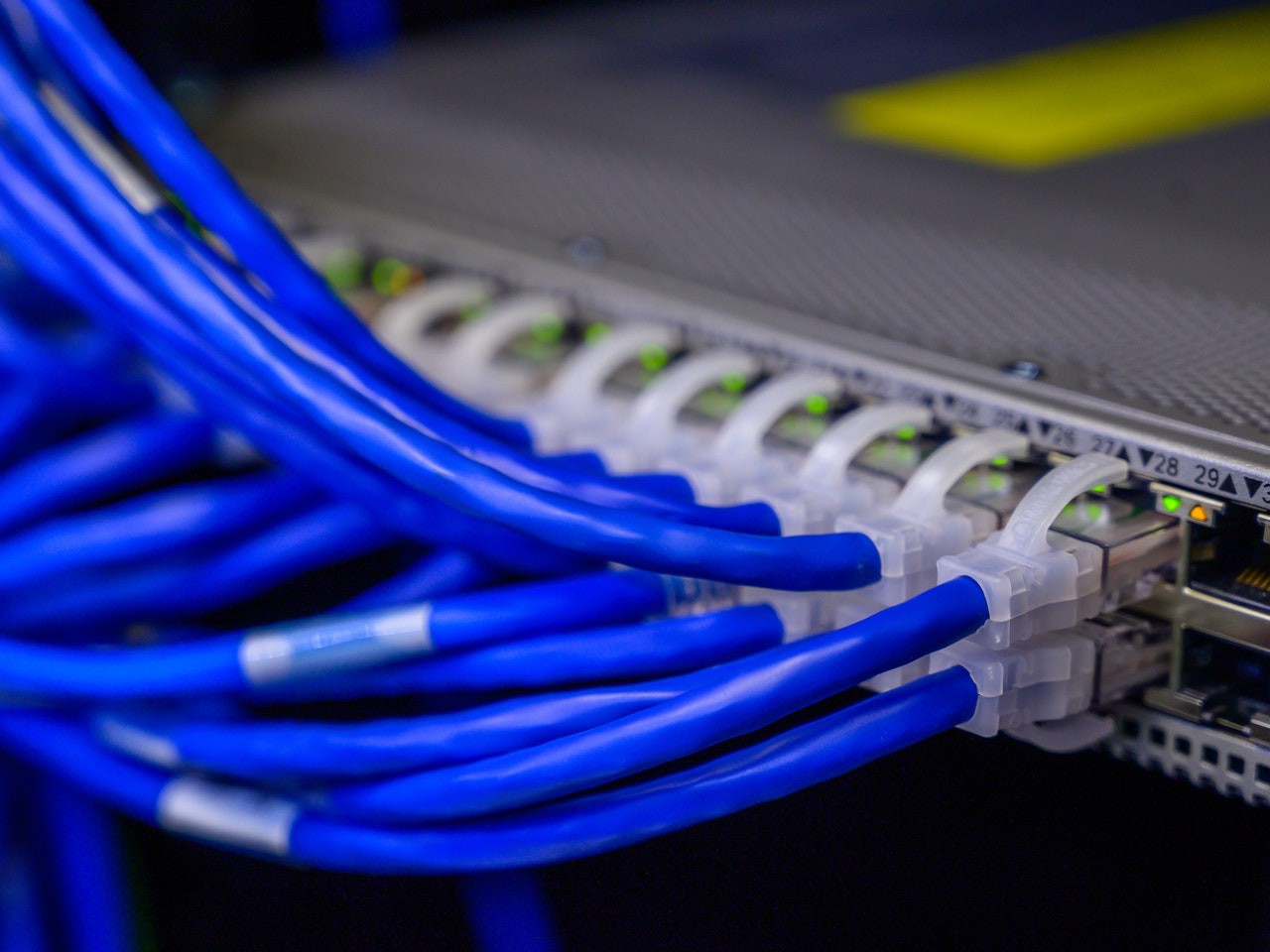 Cable de red Cable de red azul y blanco